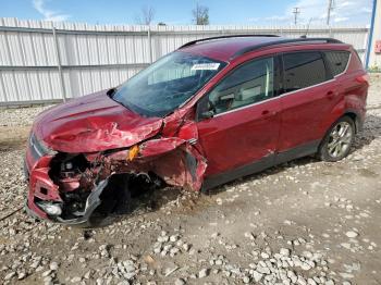  Salvage Ford Escape