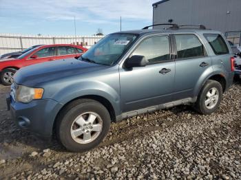  Salvage Ford Escape