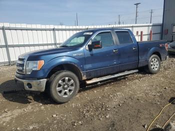  Salvage Ford F-150