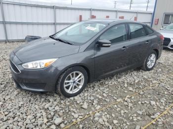  Salvage Ford Focus