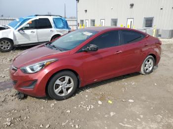  Salvage Hyundai ELANTRA