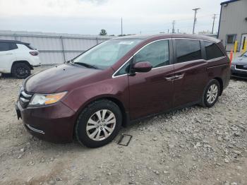  Salvage Honda Odyssey