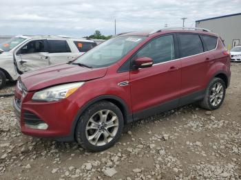  Salvage Ford Escape