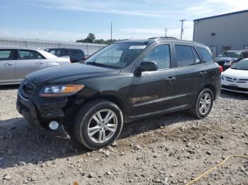  Salvage Hyundai SANTA FE