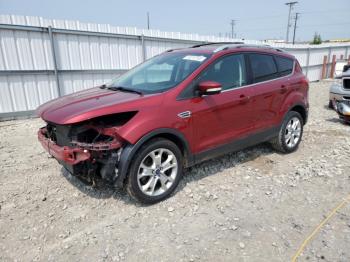  Salvage Ford Escape