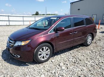  Salvage Honda Odyssey