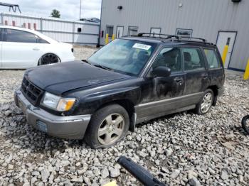  Salvage Subaru Forester