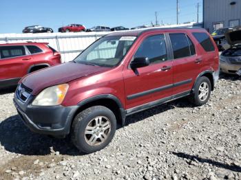  Salvage Honda Crv