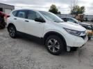 Honda Crv Lx Image 2