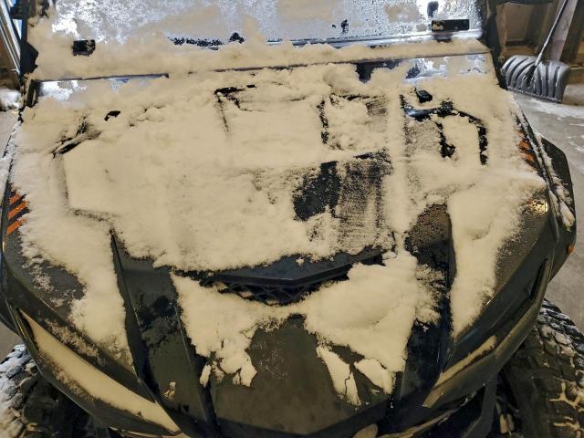 Yamaha Wolverine Image 7