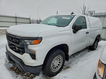  Salvage Chevrolet Silverado
