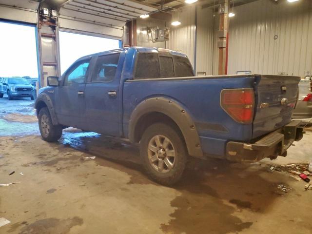 Ford F-150 Supercrew Image 3