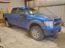 Ford F-150 Supercrew Image 2
