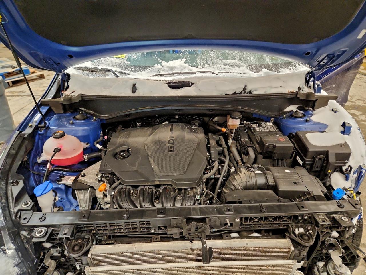 Kia Sportage X Line Image 8