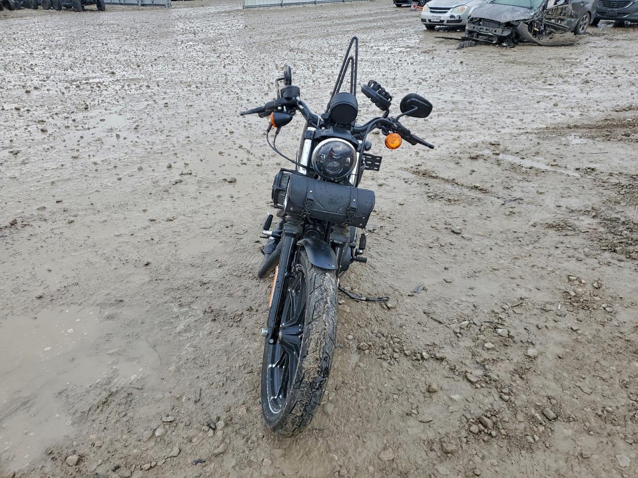 Harley-Davidson Xl883 N N Image 7