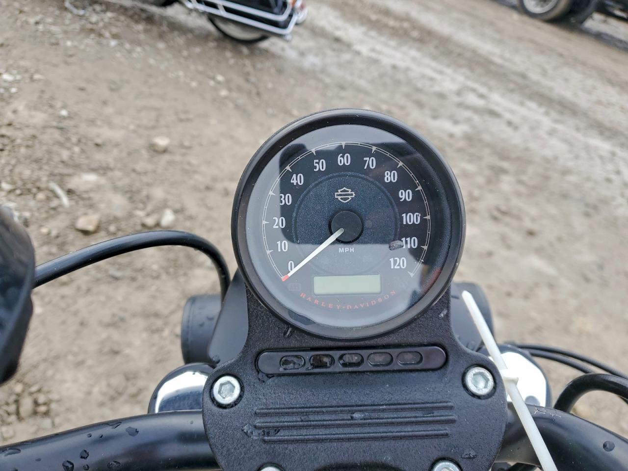 Harley-Davidson Xl883 N N Image 5