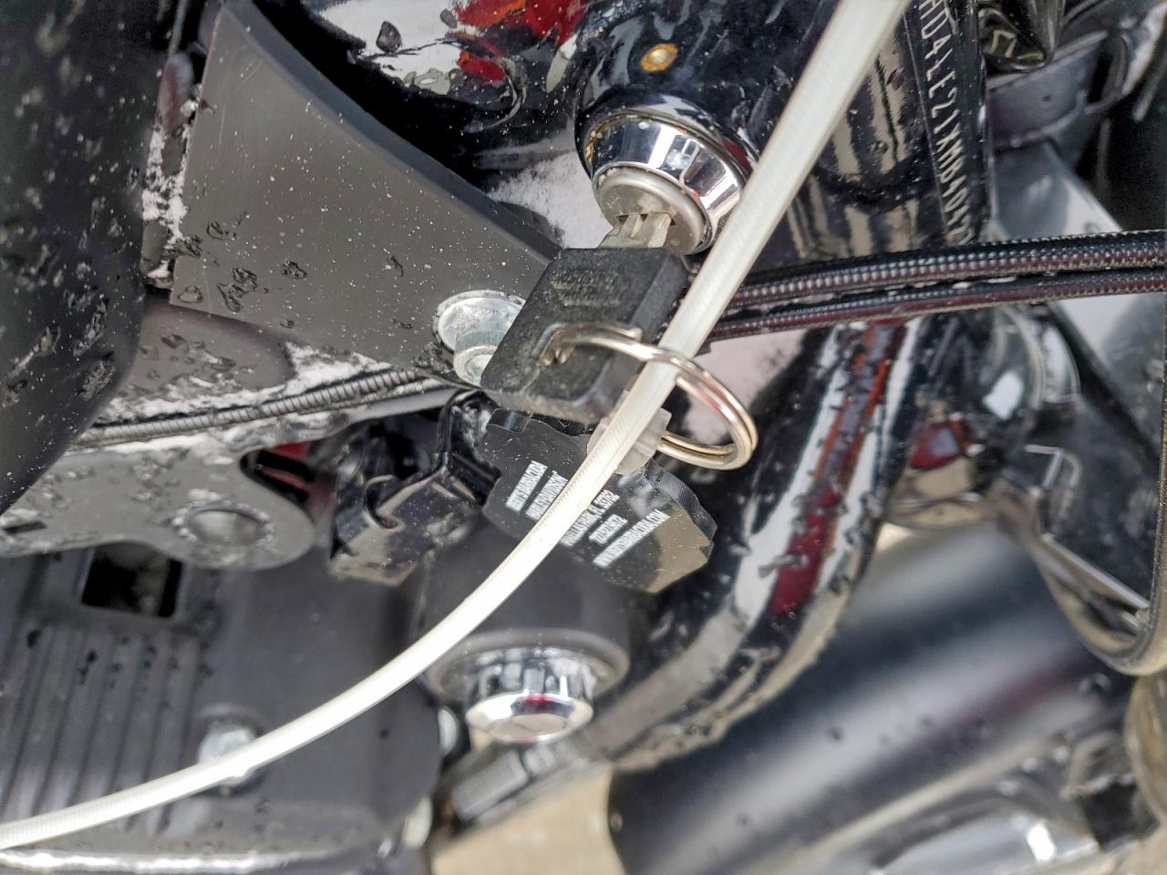 Harley-Davidson Xl883 N N Image 3