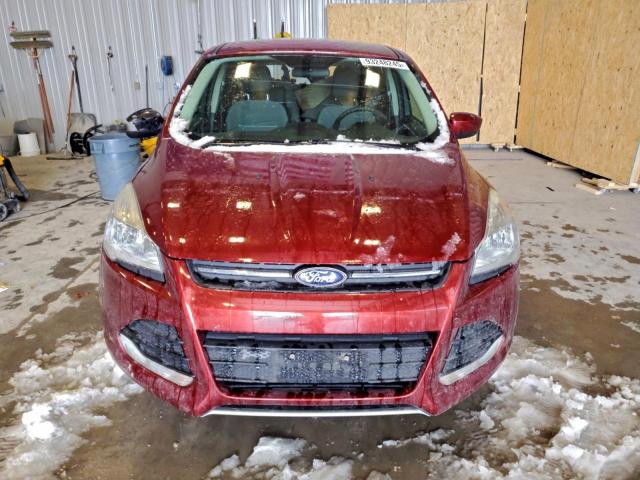 Ford Escape Se Image 7