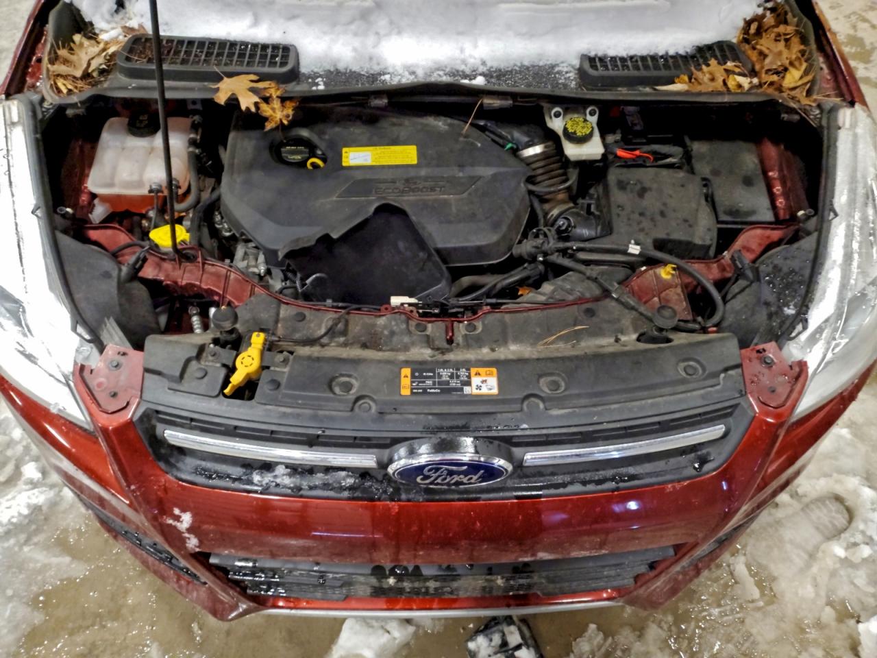 Ford Escape Se Image 11