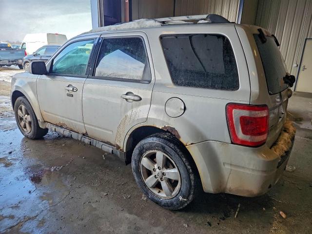 Ford Escape Limited Image 5