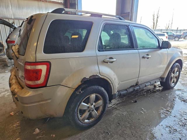 Ford Escape Limited Image 12