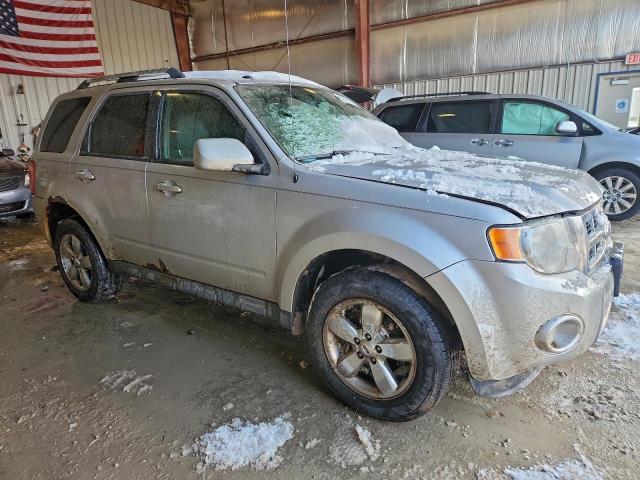 Ford Escape Limited Image 6