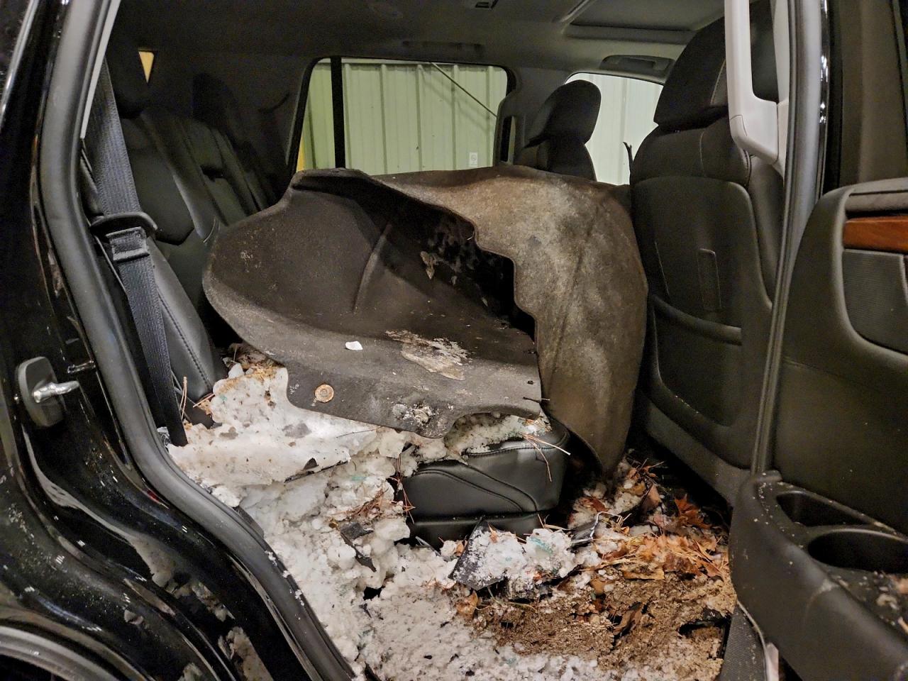 Cadillac Escalade Premium Luxury Image 11